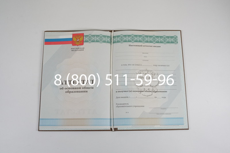 Аттестат за 9 класс 2011-2013 годов в Бийске Аттестат за 9 класс 2011-2013 годов в Бийске