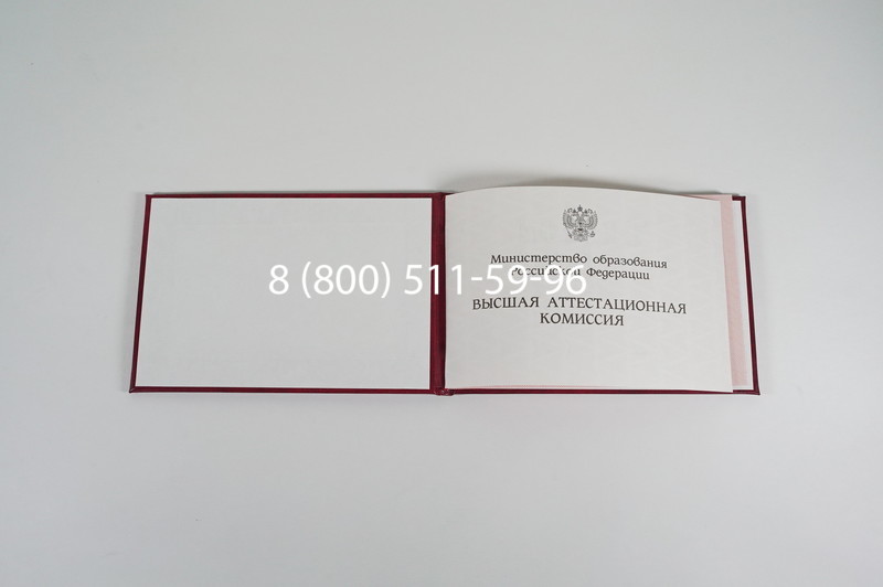 Диплом доктора наук 1995-2006 года в Бийске Диплом доктора наук 1995-2006 года в Бийске