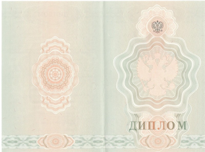 Купить Диплом о начальном образовании 2007-2009 годов в Бийске Купить Диплом о начальном образовании 2007-2009 годов в Бийске