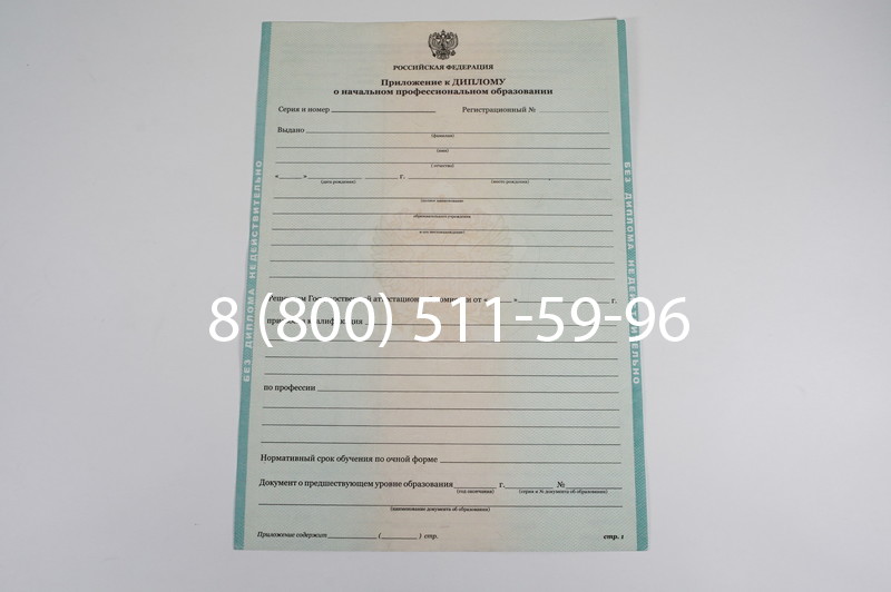 Диплом ПТУ 2014-2024 года в Бийске Диплом ПТУ 2014-2024 года в Бийске