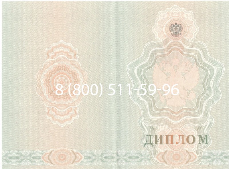 Купить Диплом училища 2007-2009 годов в Бийске Купить Диплом училища 2007-2009 годов в Бийске